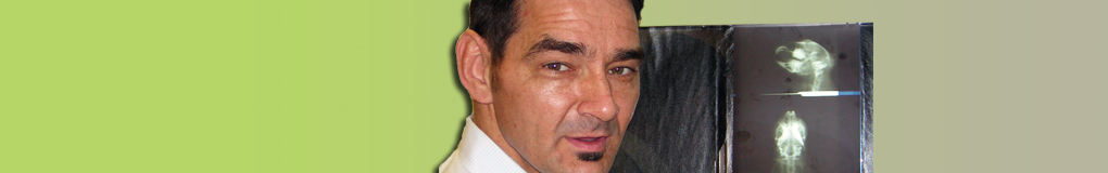 Herr Dr. Kirschbaum
