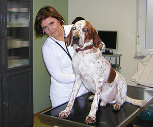 Tierärztin Dr. Ines Kirschbaum